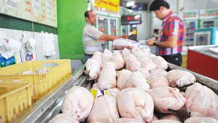 تولید گوشت مرغ در زنجان بیشتر از نیاز استان است